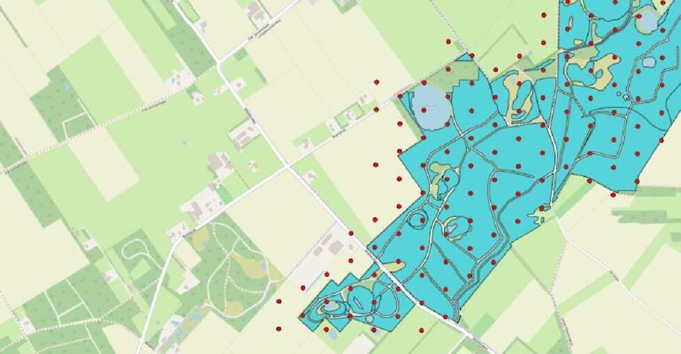 De ingetekende stikstofgevoelige natuur (blauwgroen) beslaat een kleiner oppervlak dan de Aerius-rekenpunten (rode stippen). De rekenpunten liggen deels buiten het Natura 2000-gebied. (Dit voorbeeld betreft een stukje Veluwe).