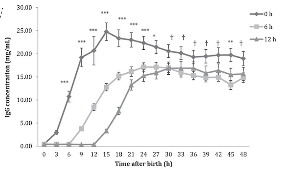 Bron: Fisher et al., 2018 in J. Dairy Sci. 101 :3099–3109 https://doi.org/ 10.3168/jds.2017-13397 Effect of delaying colostrum feeding on passive transfer and intestinal bacterial colonization in neonatal male Holstein calves