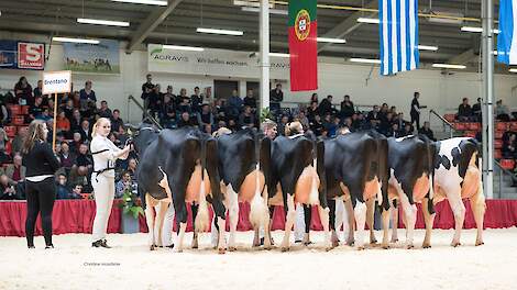 Brentano maakt de grootste sprong bij de overgang van NVI naar TIP. Zijn dochters ontwikkelen zich goed over de lactaties en weten een hoge melksnelheid met een laag celgetal te combineren.