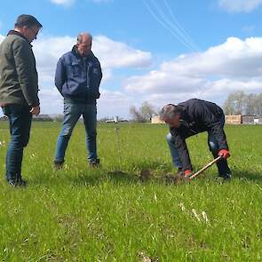 Ten Hove, Van Gurp en Bil (links) gaan nog even naar het betreffende Topmaïsperceel. De groenbemester begint al aardig te groeien. De loonwerker wil het gras niet spuiten maar verkleinen en straks niet-kerend onderwerken. Hij wacht nog even zodat de jonge