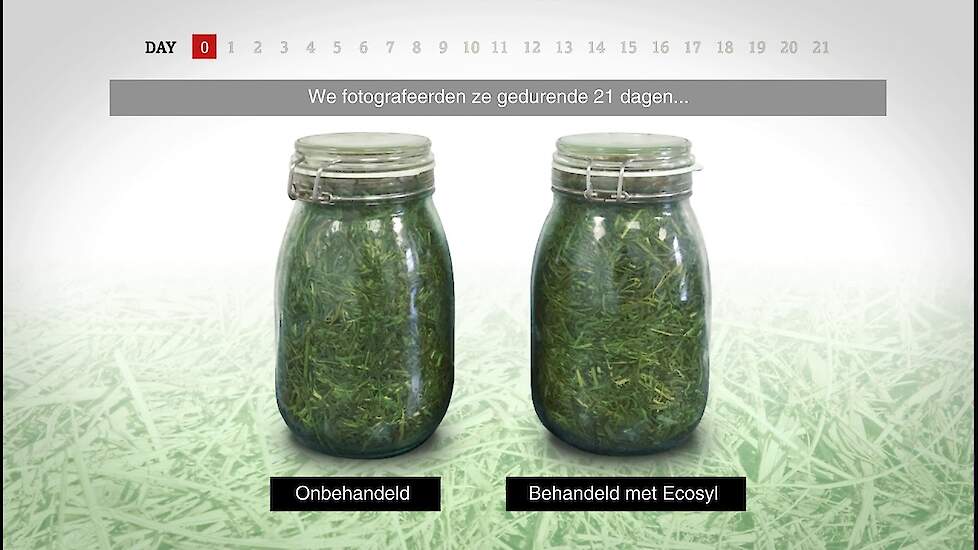 Ecosyl behandeld vs. onbehandeld