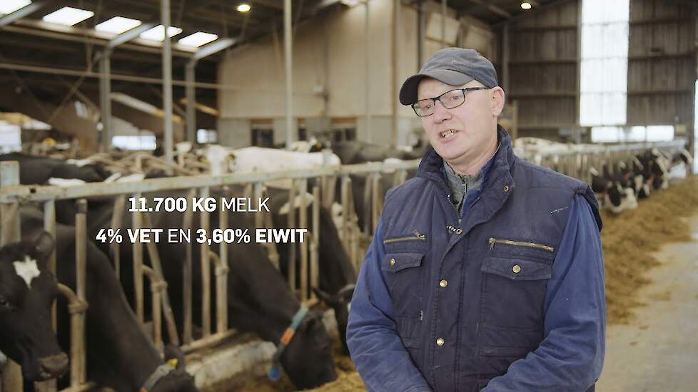Topfitte koeien met Bonsilage - Ervaring melkveehouder Ron Prinsze