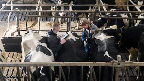 Werken aan verbetering van de vruchtbaarheid vraagt om een gedegen plan van aanpak