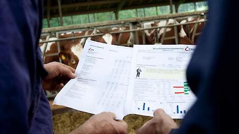 Dochters van een stier met een fokwaarde van 104 voor dochtervruchtbaarheid hebben een 7 dagen kortere tussenkalftijd en een 3 procent hoger non returnpercentage