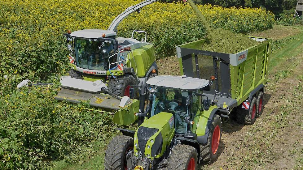 In Duitsland staat er inmiddels 8000 tot 9000 hectare van dit gewas.