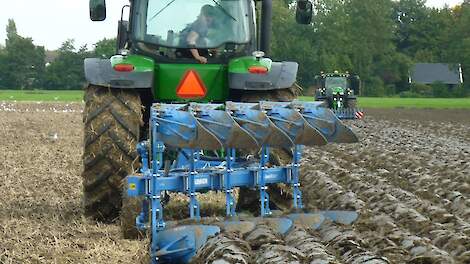 Topmaïs › Wat doen we straks na de maïsoogst? - Melkvee