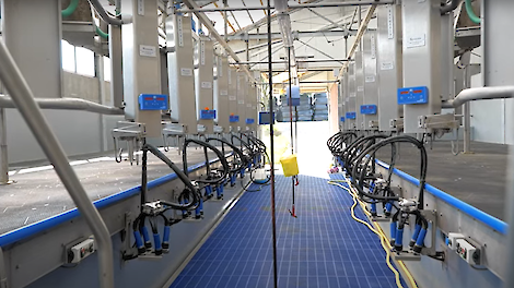 Van der Burg bouwt nieuwe stal met volledig RVS melkstal - Melkvee