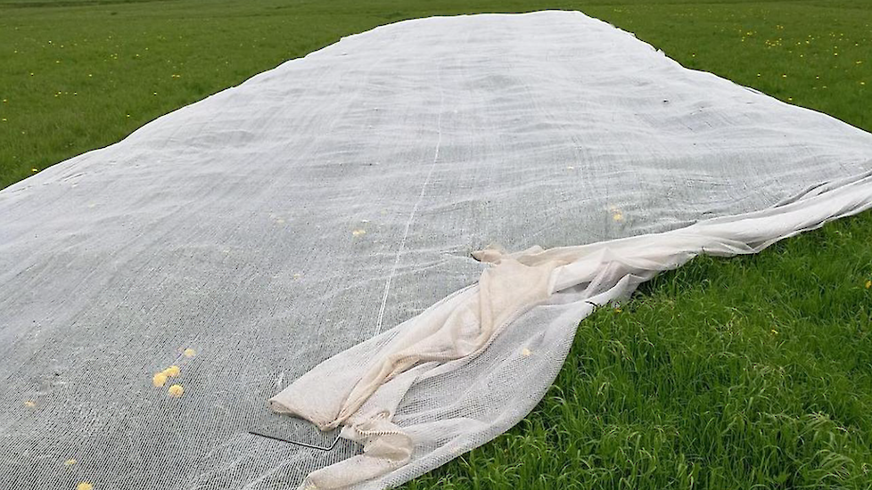 Doek tegen overlast van ganzen