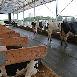 De nieuwe stal is gebouwd volgens de richtlijnen van Maatlat Duurzame Veehouderij.