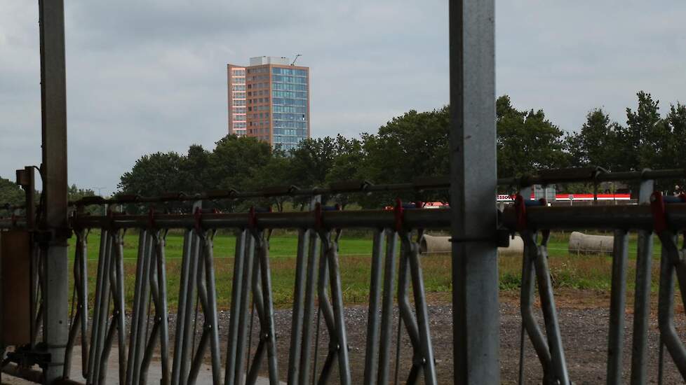 Het melkveebedrijf ligt op steenworp afstand van de stad Amersfoort.