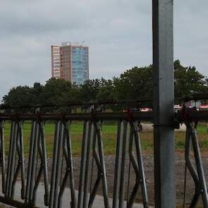 Het melkveebedrijf ligt op steenworp afstand van de stad Amersfoort.