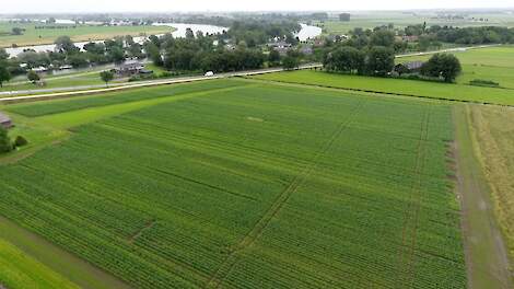 Het demoperceel in Kamperveen vanuit de lucht
