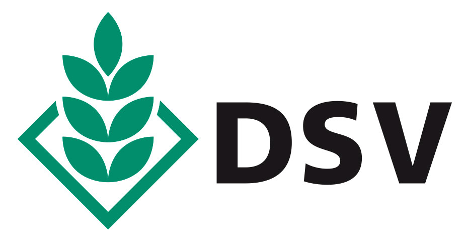 DSV logo
