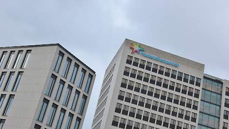 FrieslandCampina scoort op vrijwel alle financieringsindicatoren goed. Alleen het rendement op geïnvesteerd vermogen blijft fors achter.