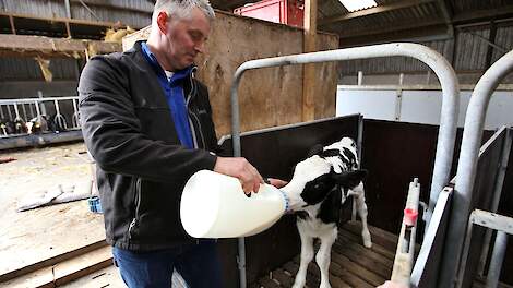 Gijsbert Meijer: „Ik heb geleerd dat als een koe weinig biest geeft, die eigenlijk altijd van goede kwaliteit is.”