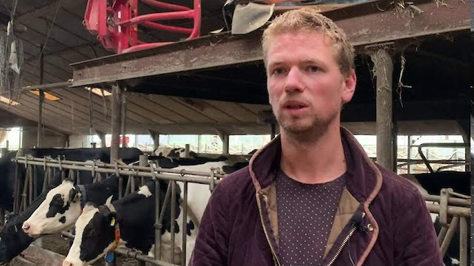 'Voederbieten geven extreme stijging in vet- en eiwitgehaltes' | Berg Fourage