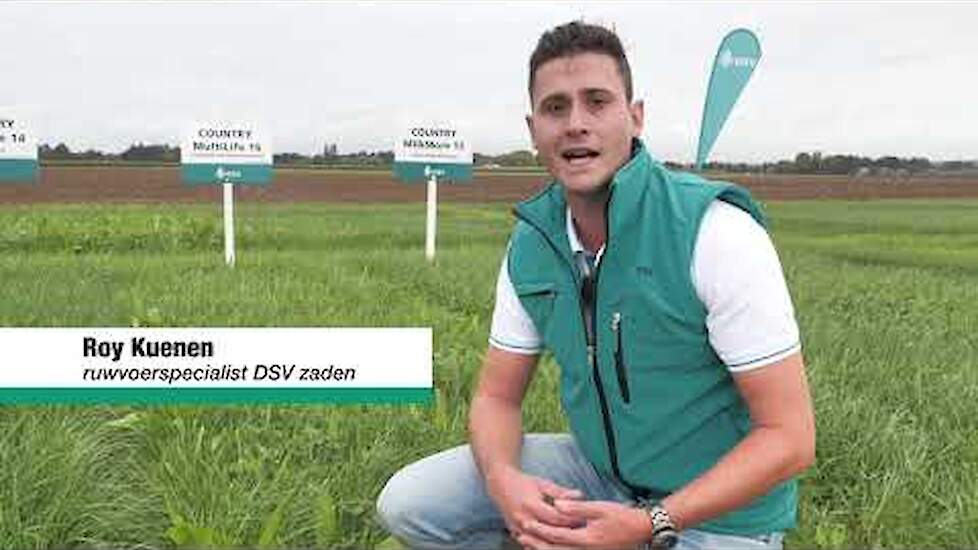 COUNTRY MultiLife 16 | DSV zaden Nederland