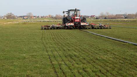 Boeren kunnen beter het zekere voor het onzekere nemen en met een lagere stikstofgift rekenen. Daartegenover kan het lonen om meer maïspercelen op te geven voor 15 februari.