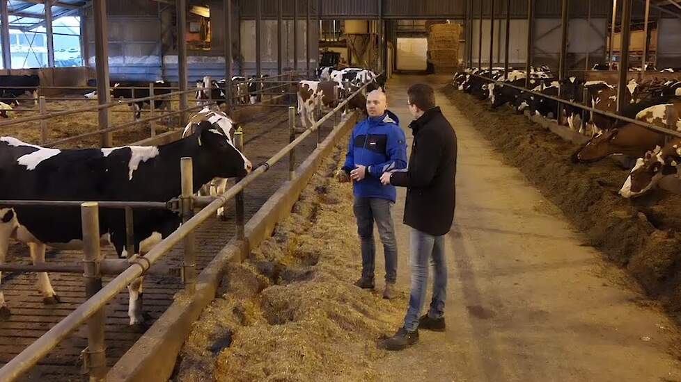 K.I. Samen over het succes van Spaans stro en weidehooi | Berg Fourage