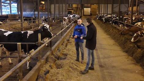 K.I. Samen over het succes van Spaans stro en weidehooi | Berg Fourage