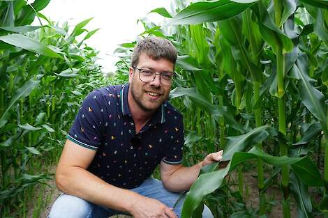 Sander Uwland is Crop Advisor Maïs bij Bayer.