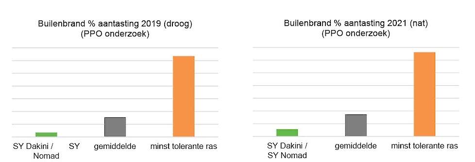 PPO Onderzoek builenbrand in zowel een droog (2019) als een nat (2021) jaar.