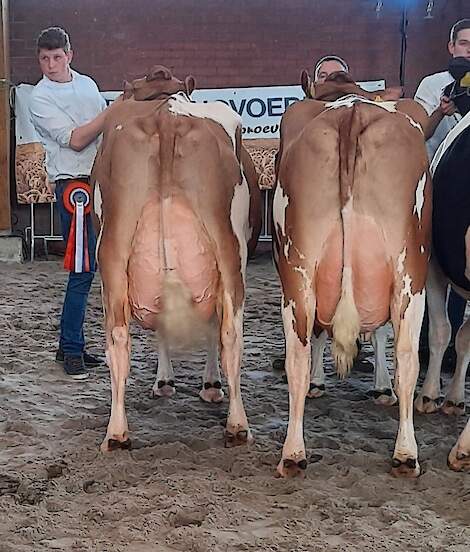 Het fantastische kampioensduo bij de oudere roodbonten