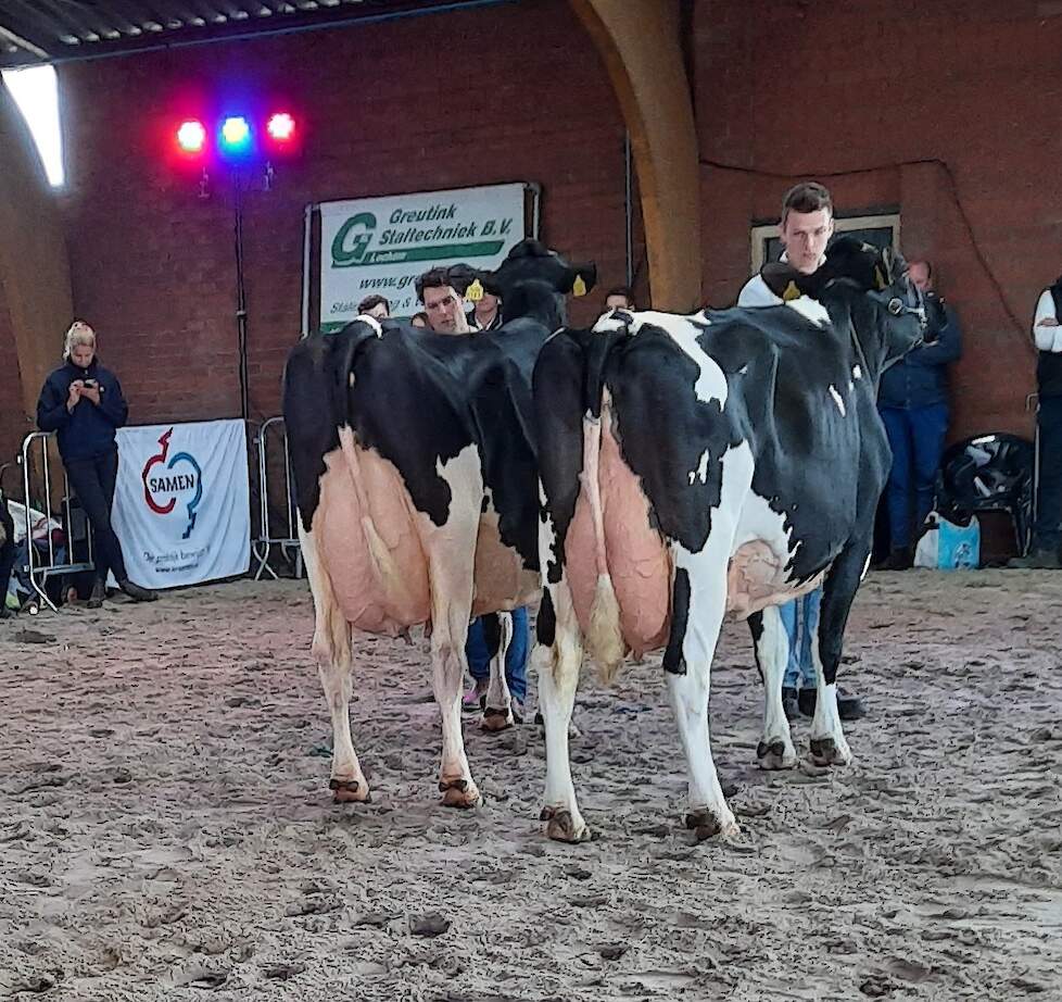 Het prachtige kampioensduo bij de senioren. Heel verschillend, beide goed