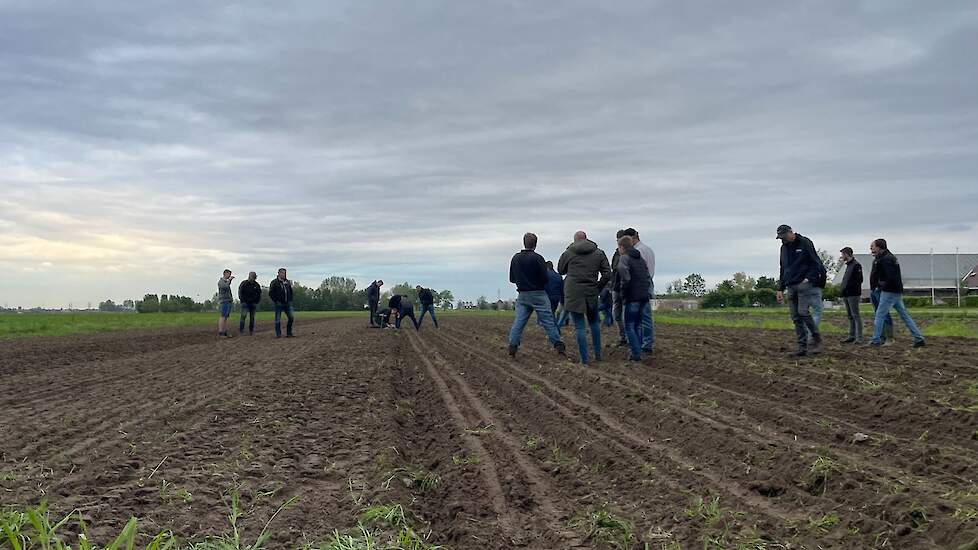 Links de bewerkte grond met de combinatie van Ten Hove, links de ruggen die ruggenteeltwoeler maakt.