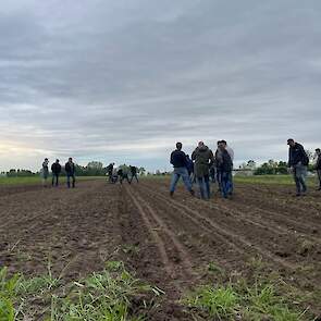 Links de bewerkte grond met de combinatie van Ten Hove, links de ruggen die ruggenteeltwoeler maakt.