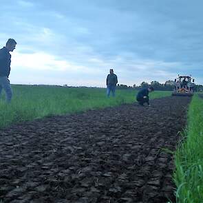 Het is even zoeken naar de juiste afstelling. In de eerste baan wordt de grasmat onvoldoende gefreesd. De banen daarna is het gras duidelijk ondergewerkt.