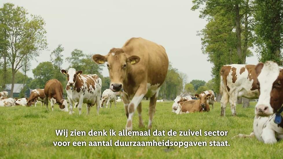 Lidl - 3-sterren Beter Leven keurmerk Kaas