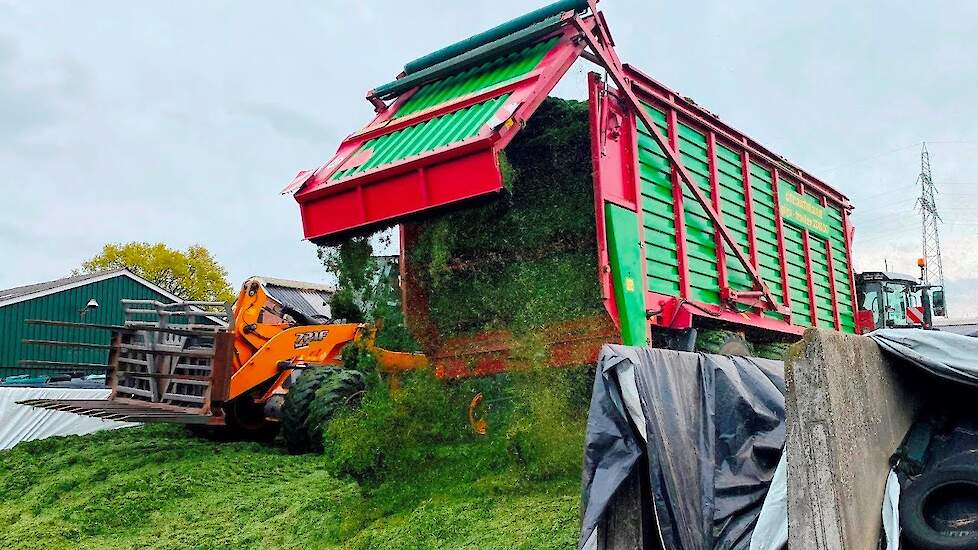 'Sterke grasrassen met veel voederwaarde' | Melkveehouder Bas ten Hove over zijn graslandbeheer | LG