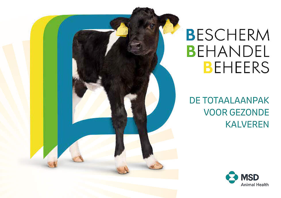 BESCHERM BEHANDEL BEHEERS - De totaalaanpak voor gezonde kalveren