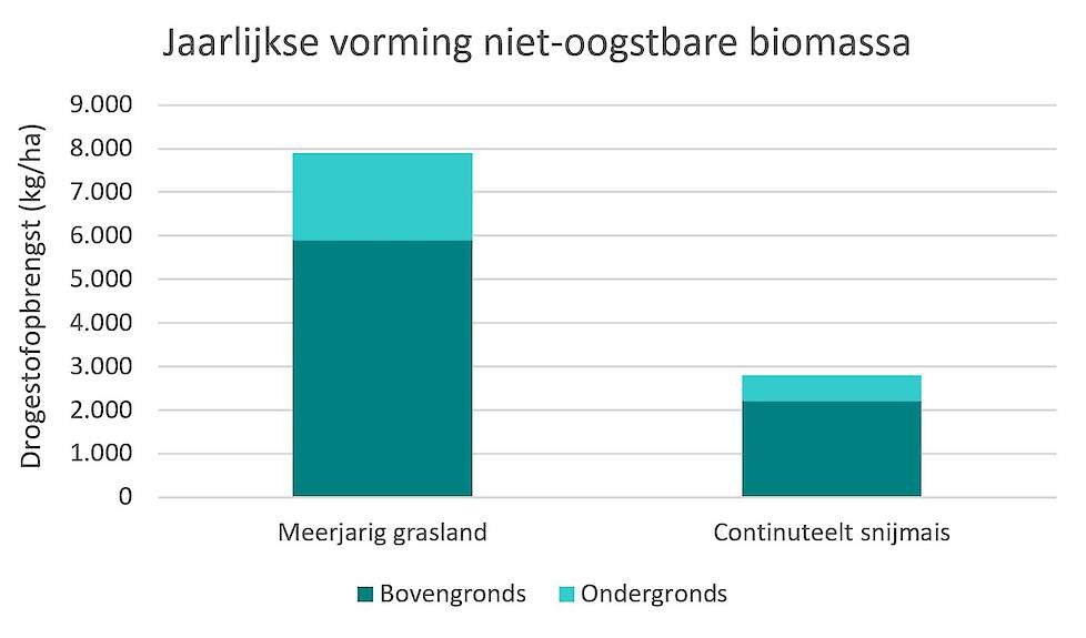 DSV_Meerjarig grasland vs continuteelt snijmais