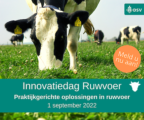 DSV innovatiedag ruwover