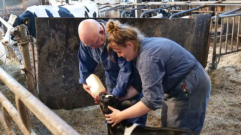 Video: Amber Laan krijgt hulp van minister Staghouwer bij het melken