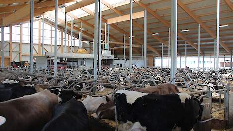 Circa 13.200 euro bedragen de gemiddelde investeringskosten per ligplaats in Beieren.