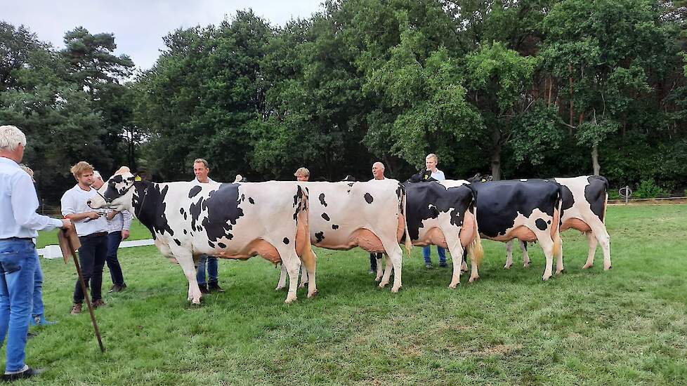 Oosten-Boode had de beste zwartbonte groep