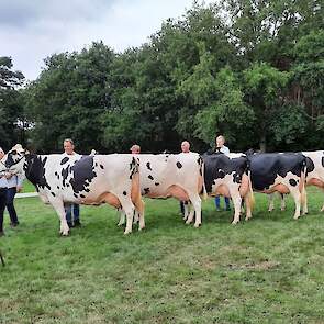 Oosten-Boode had de beste zwartbonte groep