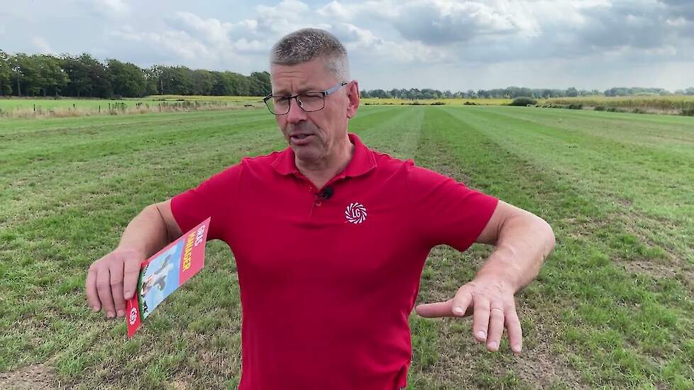 Grasland herstellen na een droge zomer: praktische tips voor doorzaaien | LG Seeds