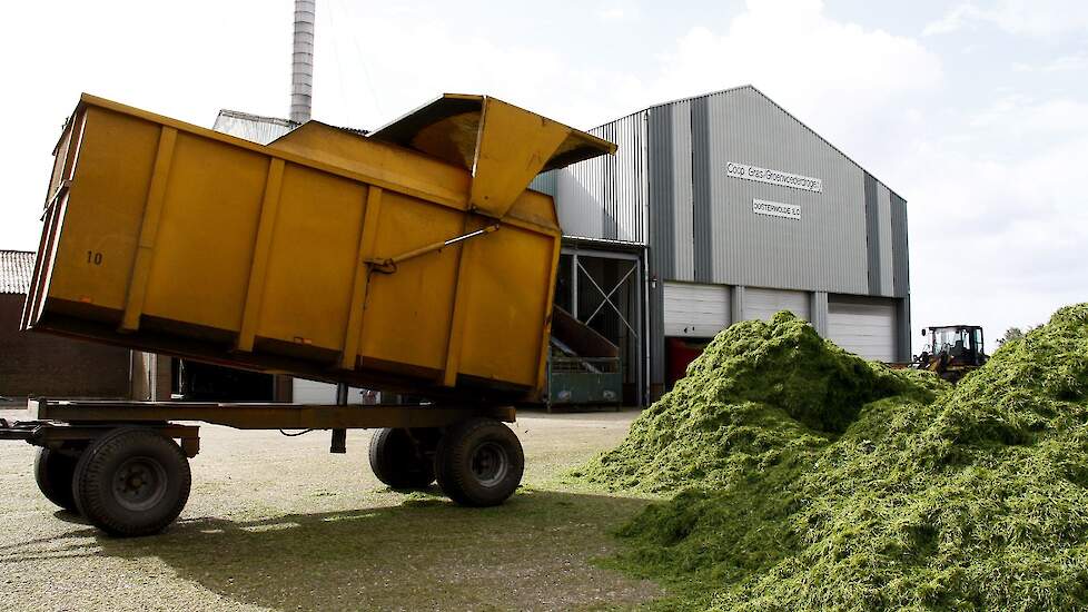 Aanvoer van gras bij de drogerij in Oosterwolde (FR).
