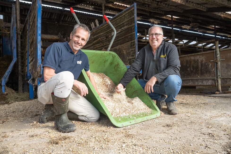 Bert Wissels (links) en Theo Zweverink bij de gemalen veldbonen