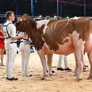 Topcross Jaan 668 pakte de kop in de tweede vaarzenrubriek bij de roodbonten. De Diamondback-dochter van de familie Jacobi uit Garyp toonde een ruime voorhand met veel ruimte tussen de voorbenen, een mooie ribwelving en een best, mooi gevormd, ondiep uier