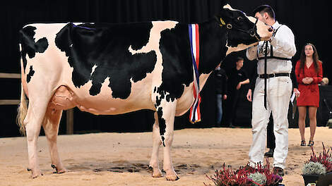 Jan, Irma en Thomas Steegink uit Okkenbroek (OV) zegevierden bij zowel zwart- als roodbont met drie kampioenen en drie reservetitels. Bij zwartbont werd Heerenbrink Angeline (v. Devour) algemeen kampioene. Een paar uur eerder behaalde ze de kampioenstitel