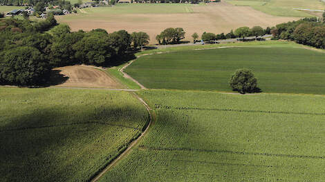 Het KPI-systeem heeft tot doel boeren te belonen voor het maken van duurzame keuzes. En zo kan de KPI-beloningsstructuur bijdragen aan het behoud van het Achterhoekse coulissenlandschap.