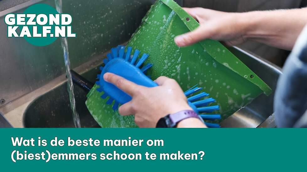 Wat is de beste manier om (biest)emmers schoon te maken?