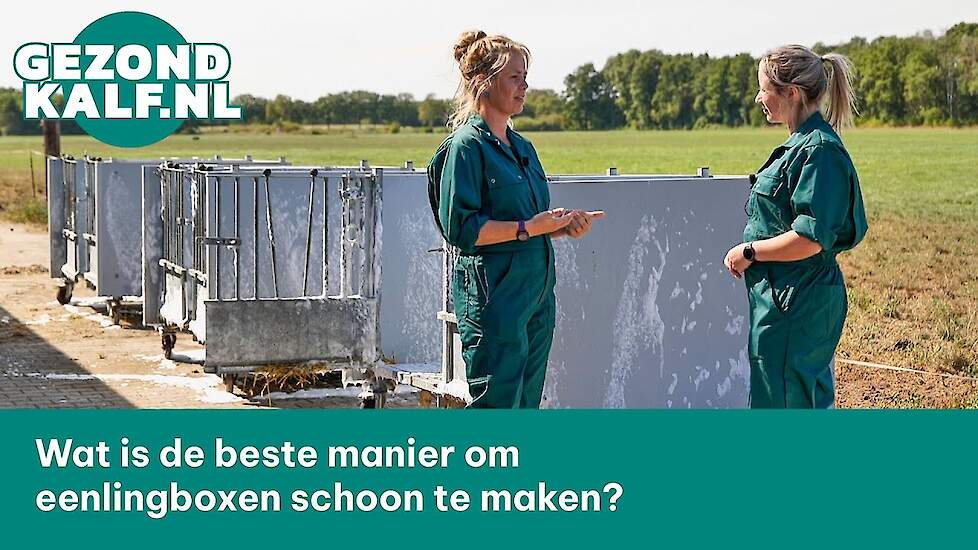 Wat is de beste manier om eenlingboxen schoon te maken?