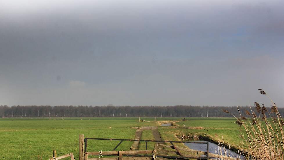 Kabinet moet flink wat water bij de wijn doen voor Landbouwakkoord