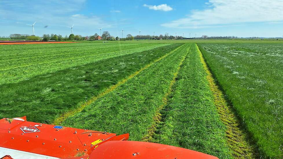 De veehouder wilde de tijd nemen om het gras te laten drogen